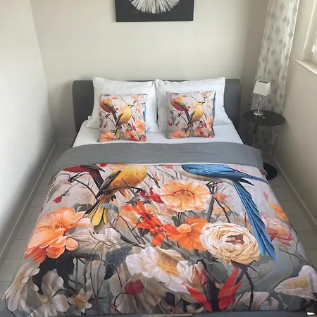 Apartment Promienna - Bright *